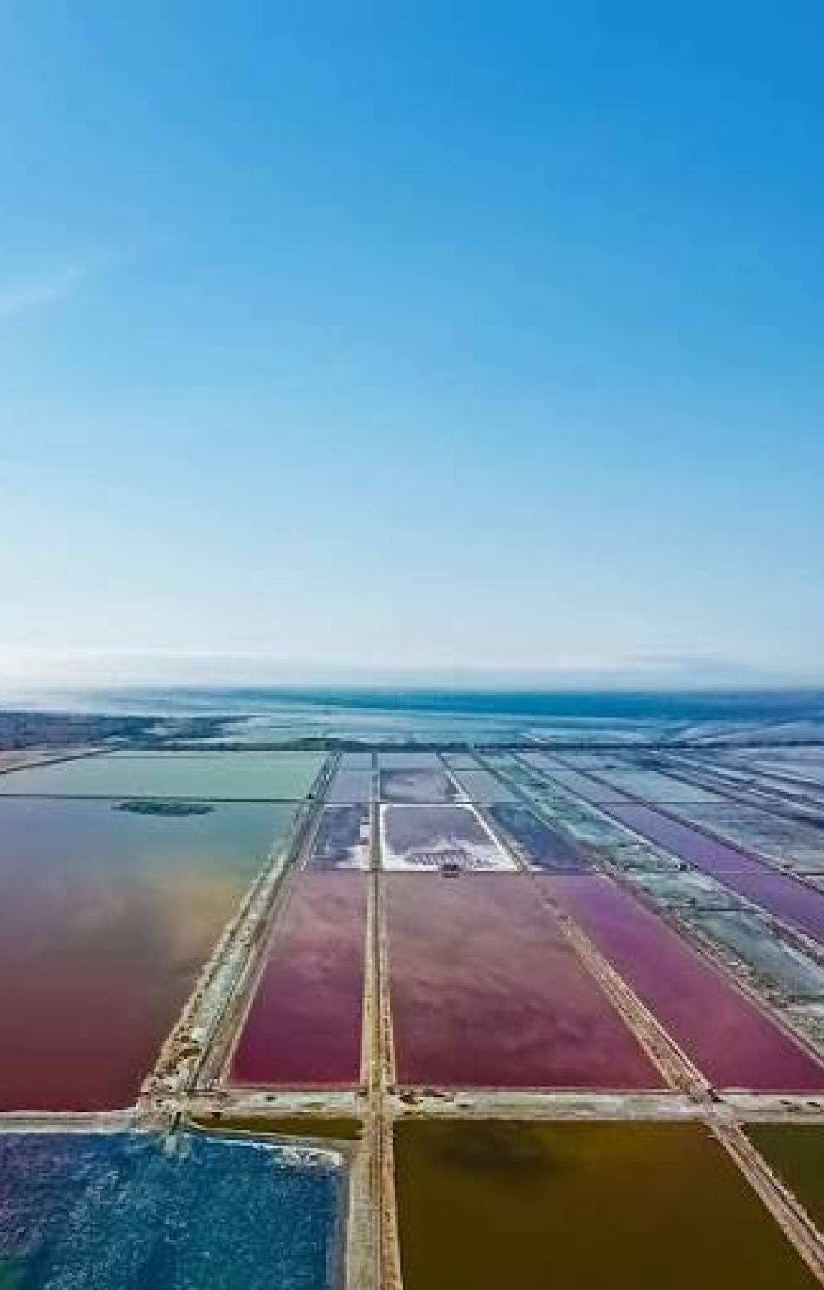 Sambhar Lake
