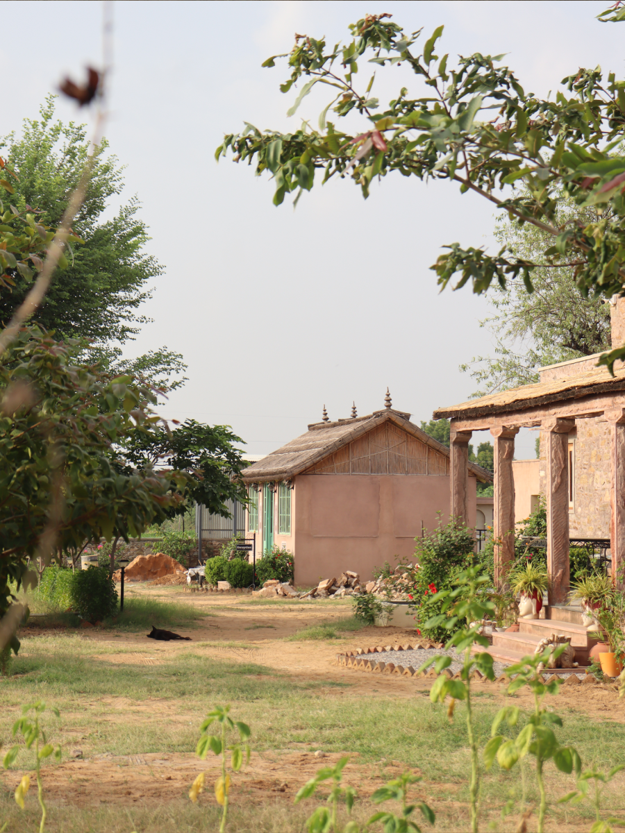 An Evening in Our Village at Shyampura Nature Abode