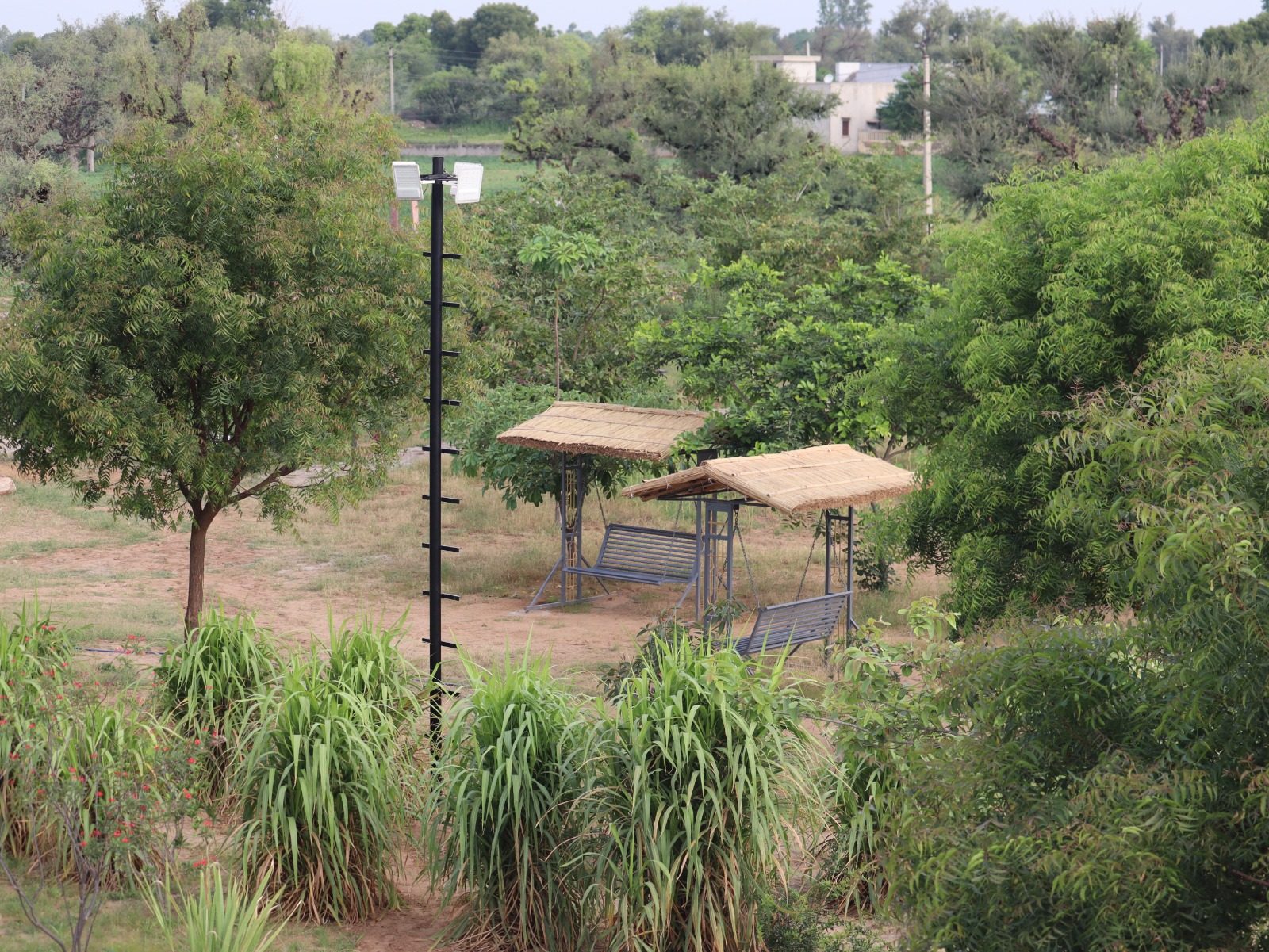 Yoga & Meditation in Nature at Shyampura Nature Abode