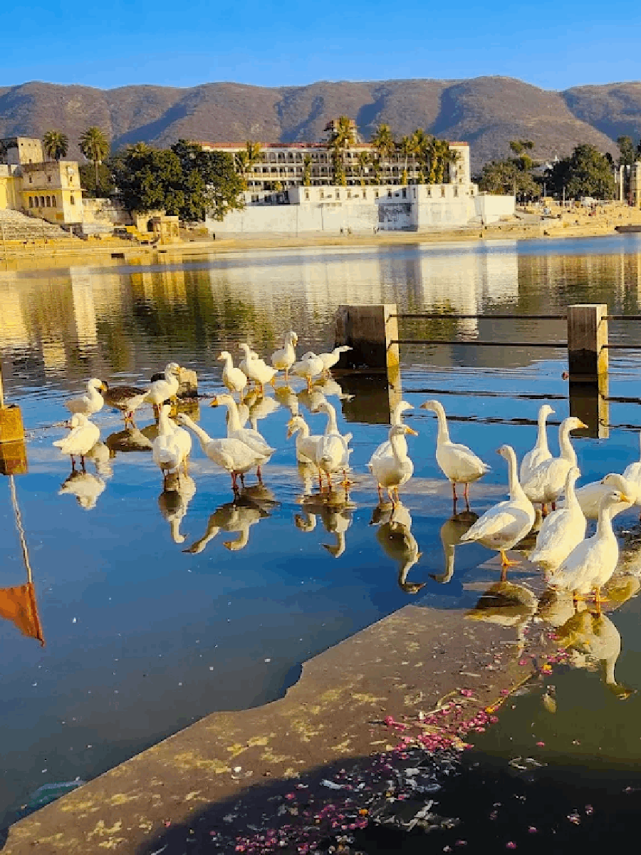 Pushkar